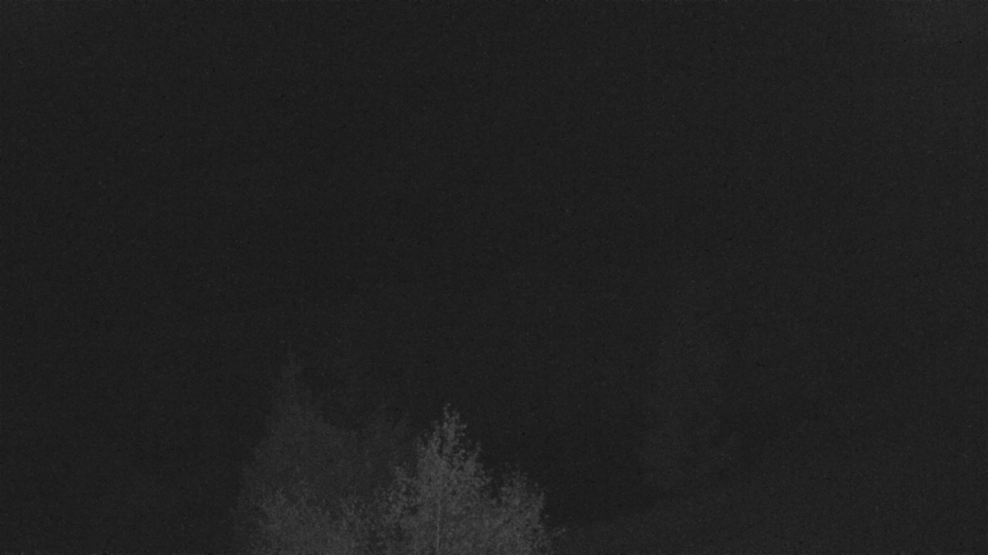 Webcam-Aufnahme: 25.09.2026 21:30:02